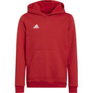 Adidas ENTRADA 22 Young Adults Hoodie